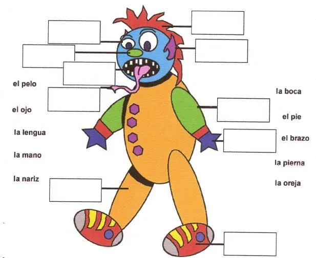 Las partes del cuerpo. | EspaÑol con Miss María