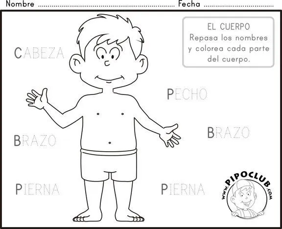 partes del cuerpo humano para colorear - Buscar con Google ...
