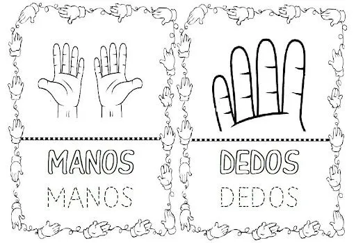 Partes del cuerpo humano para niños de preescolar para colorear ...