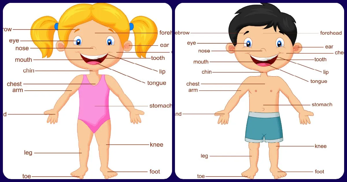 Partes del cuerpo ingles niña niño portada – Imagenes Educativas Partes del cuerpo ingles niña niño portada – Imagenes Educativas