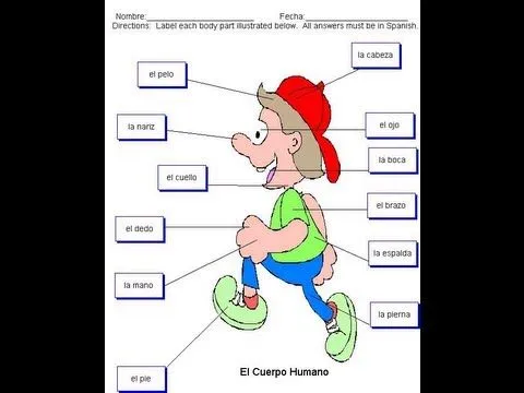 Partes del cuerpo para niños. Aprender a hablar - YouTube