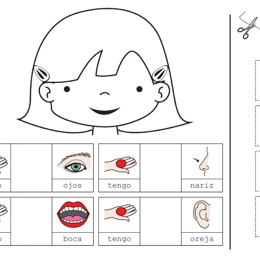 Las partes del cuerpo - Pictoeduca