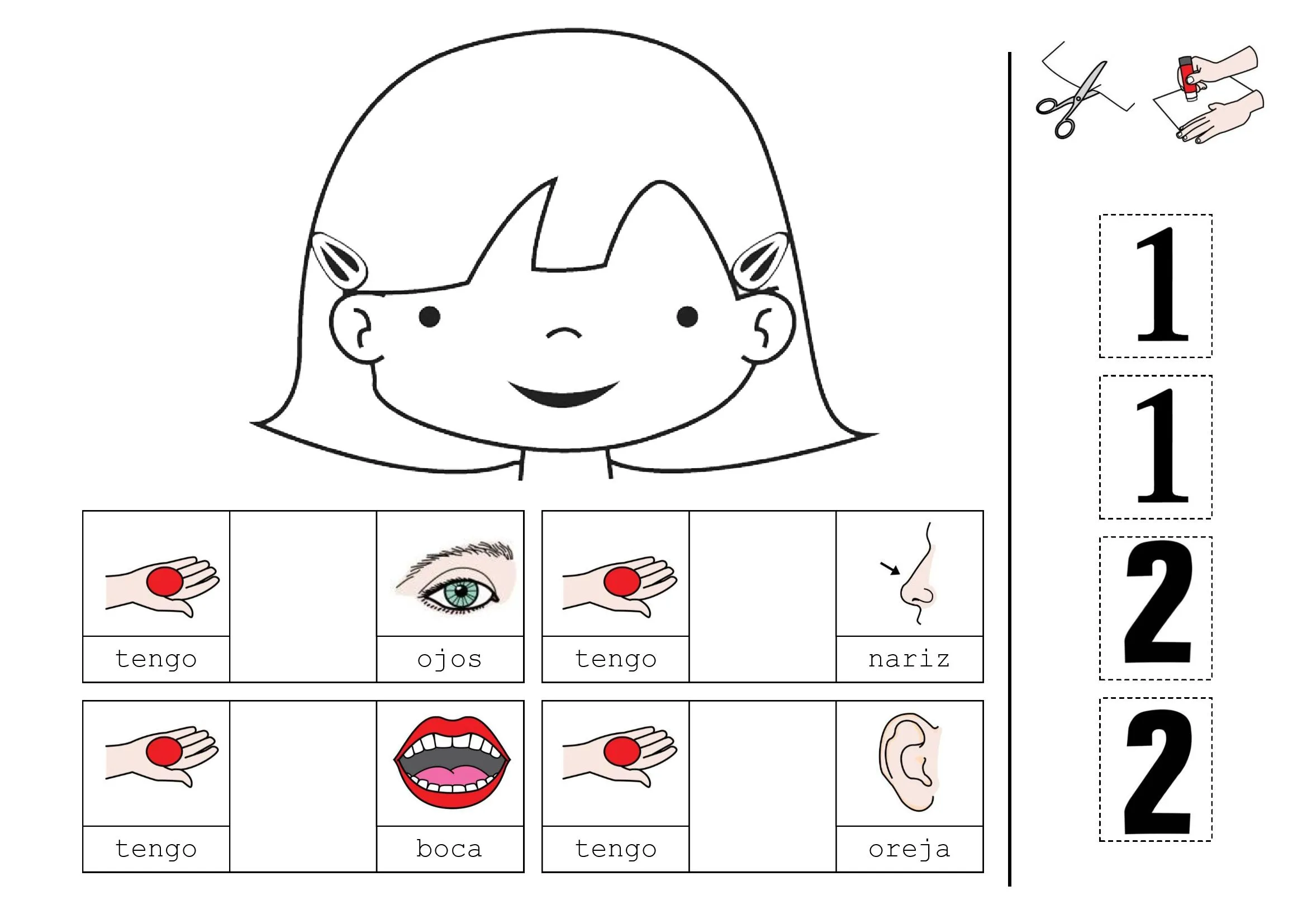 Las partes del cuerpo - Pictoeduca