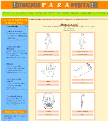 Partes del cuerpo para pintar .