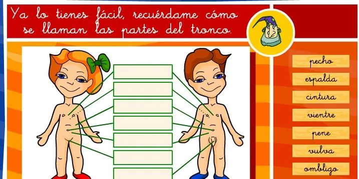 Las partes del cuerpo | Recurso educativo 35562 - Tiching