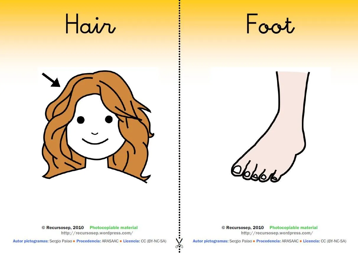 Partes del cuerpo en INGLÉS | Recursos primaria Partes del cuerpo en INGLÉS | Recursos primaria
