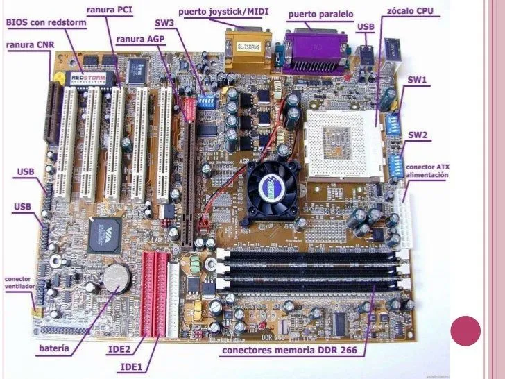 partes-de-la-cpu-10-728.jpg?cb ...