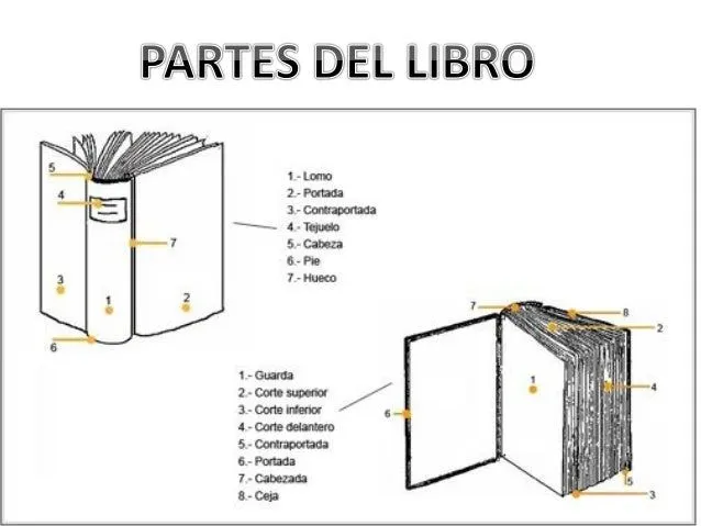 partes-del-libro-1-638.jpg?cb= ...