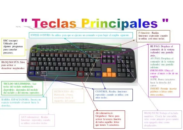 partes-el-teclado-camila- ...