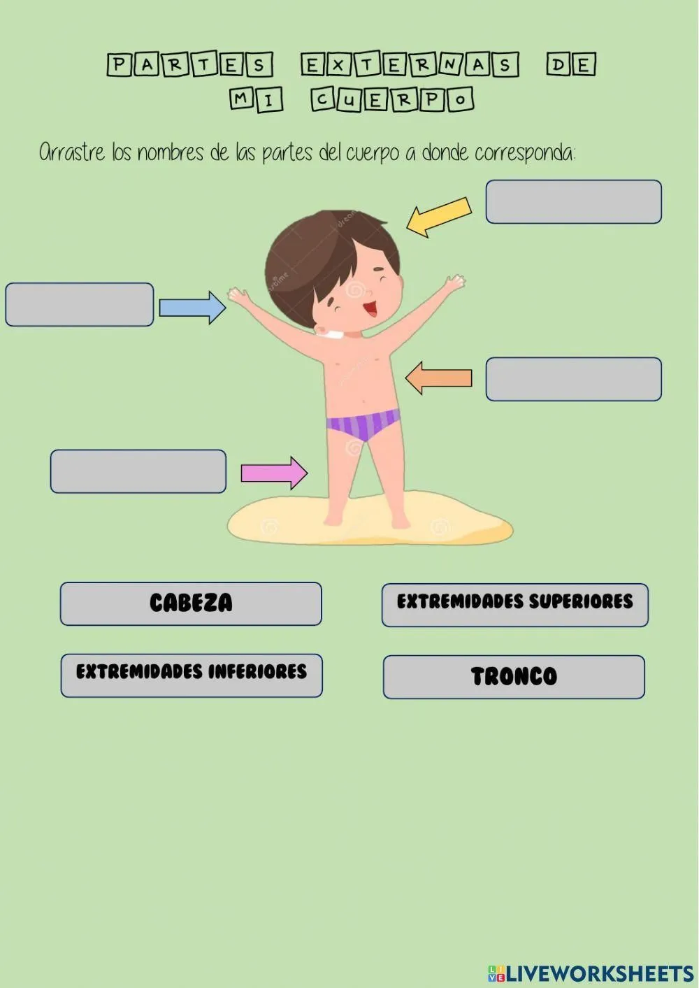 Partes externas del cuerpo worksheet | Live Worksheets Partes externas del cuerpo worksheet | Live Worksheets