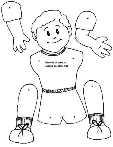Partes del cuerpo humano para recortar y armar - Imagui Partes del cuerpo humano para recortar y armar - Imagui