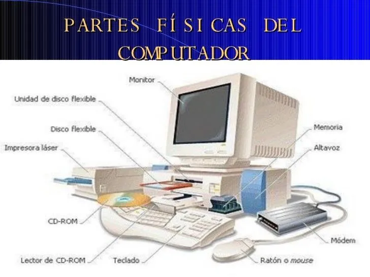 partes-fsicas-y-lgicas-del- ...