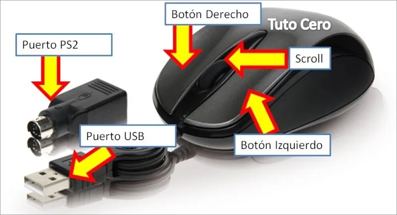 Partes y Funciones del Mouse Mecánico y Óptico - Tuto Cero