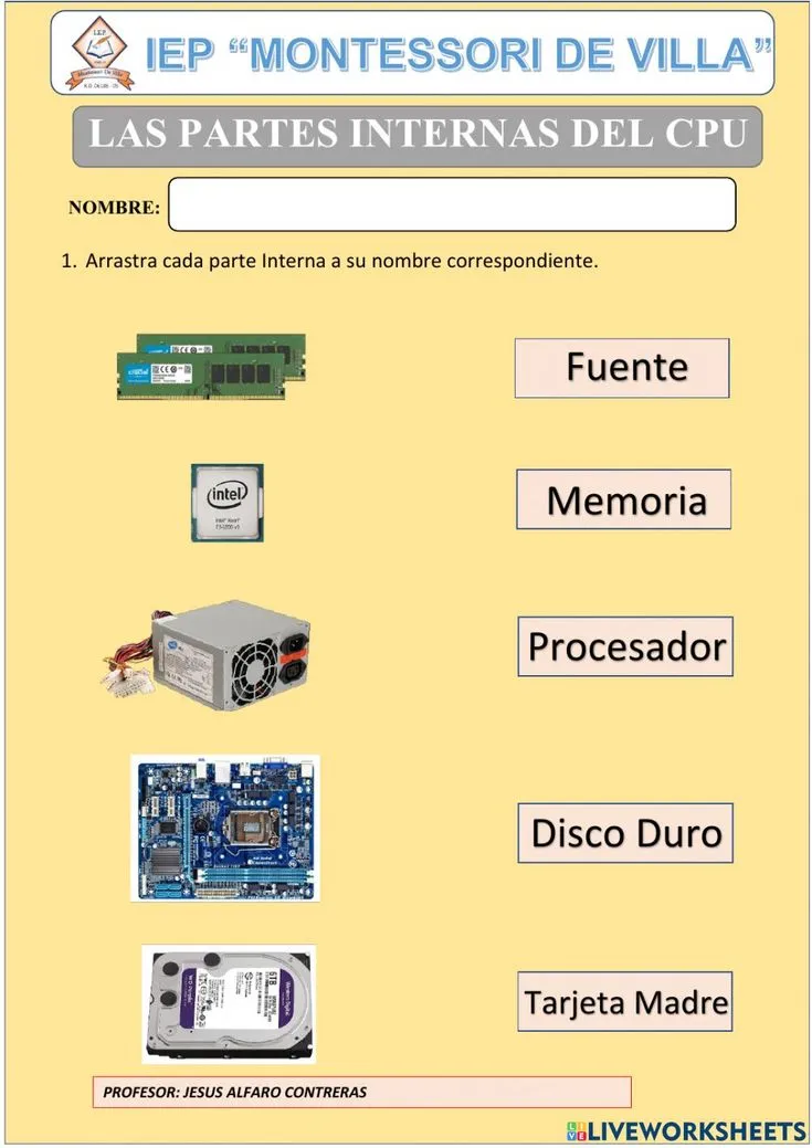 Partes internas del cpu exercise