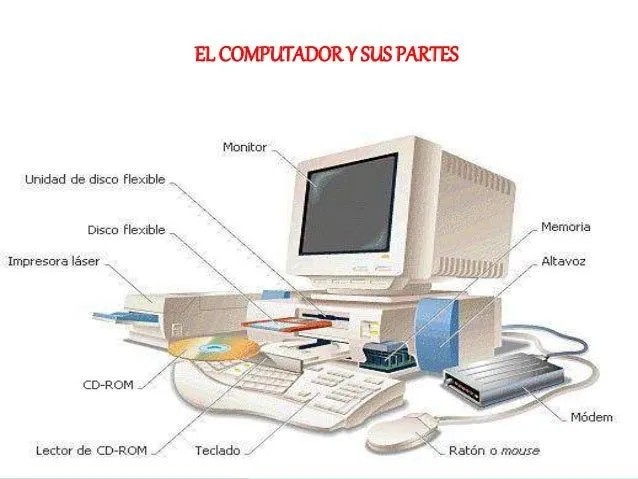 partes-internas-y-externas-del ...