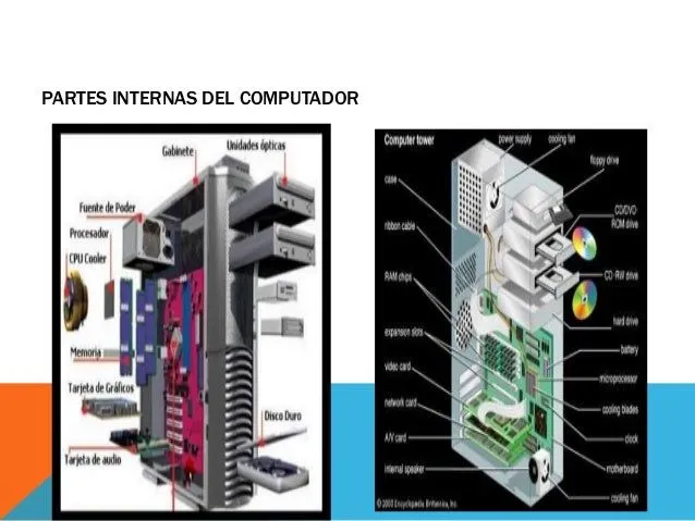 partes-internas-y-externas-del ...