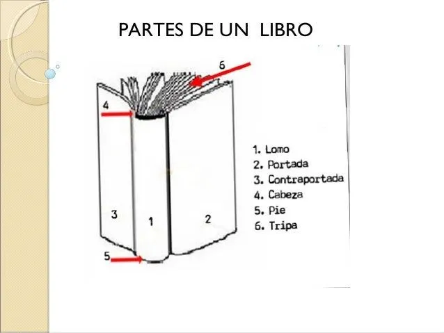 Partes del libro