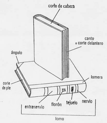 Dibujo de un libro y sus partes externas - Imagui Dibujo de un libro y sus partes externas - Imagui