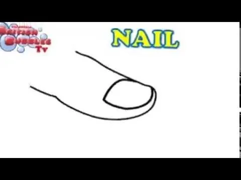 LAS PARTES DE LA MANO EN INGLES PARA NIÑOS - YouTube