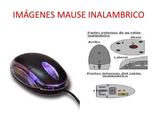Partes del mause mecanico y su funciones