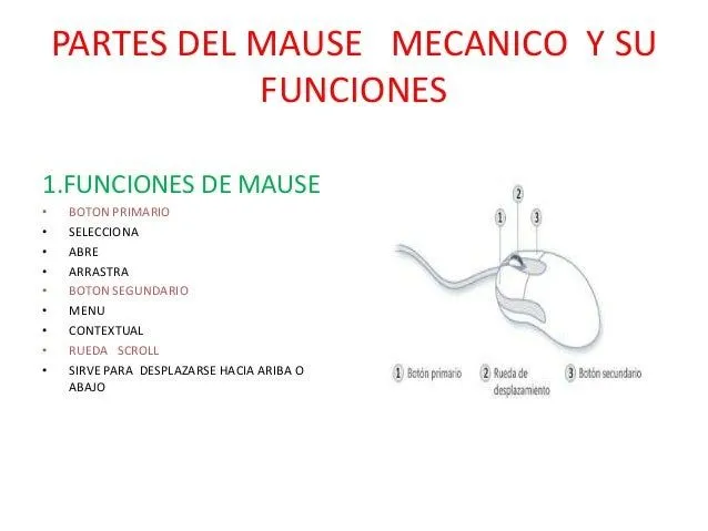 Partes del mause mecanico y su funciones