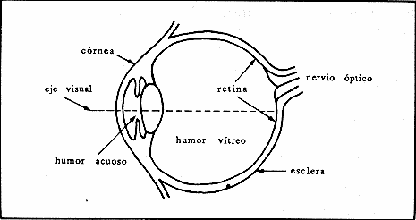 VIII. LUZ EN MEDICINA