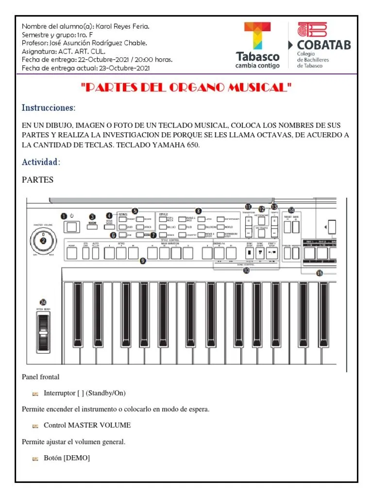 Partes Del Organo Musical | PDF | Informática Partes Del Organo Musical | PDF | Informática