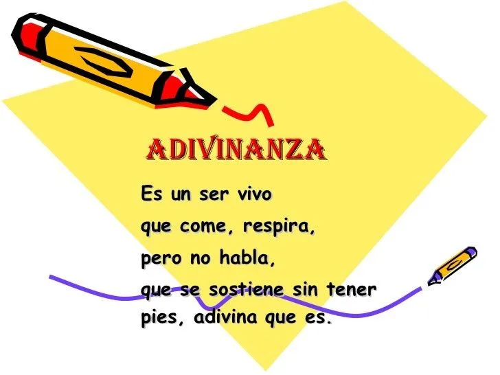 Partes De La Planta