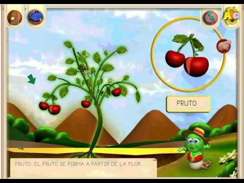 Partes de una planta - YouTube