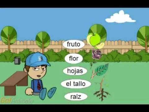 Partes de la planta - YouTube