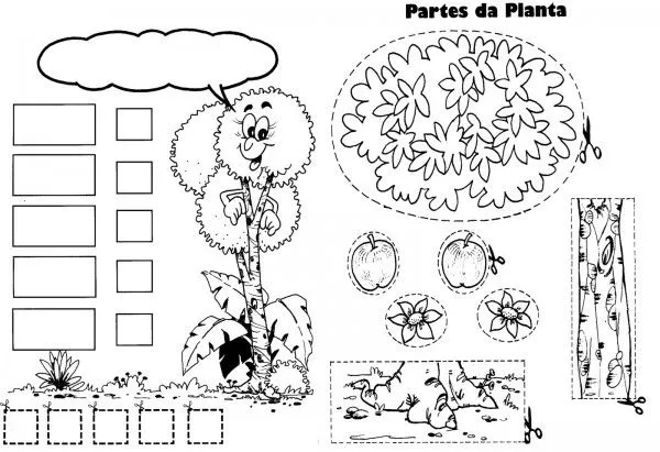 Partes de las plantas para pintar | Colorear imágenes Partes de las plantas para pintar | Colorear imágenes