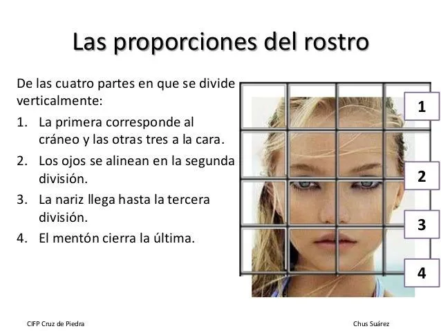 Partes del rostro humano - Imagui