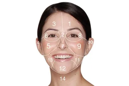 Partes del rostro y sus nombres - Imagui