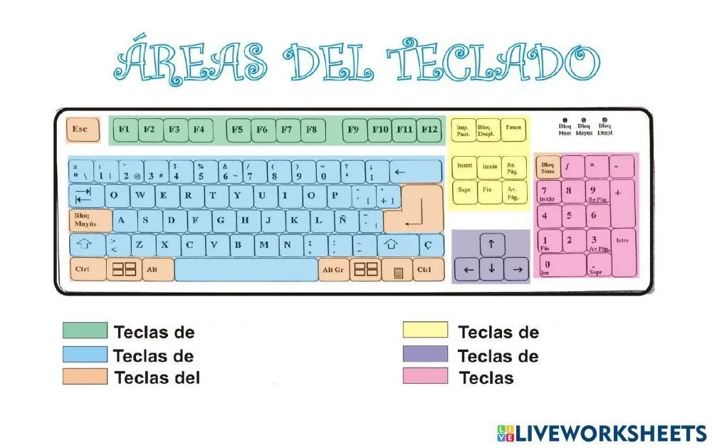 Partes del teclado online activity | Teaching computers, Computer basics, Resource classroom Partes del teclado online activity | Teaching computers, Computer basics, Resource classroom