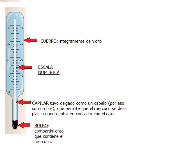 Partes del termometro - Imagui