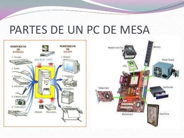 partes-y-diferencias-de-un-pc- ...