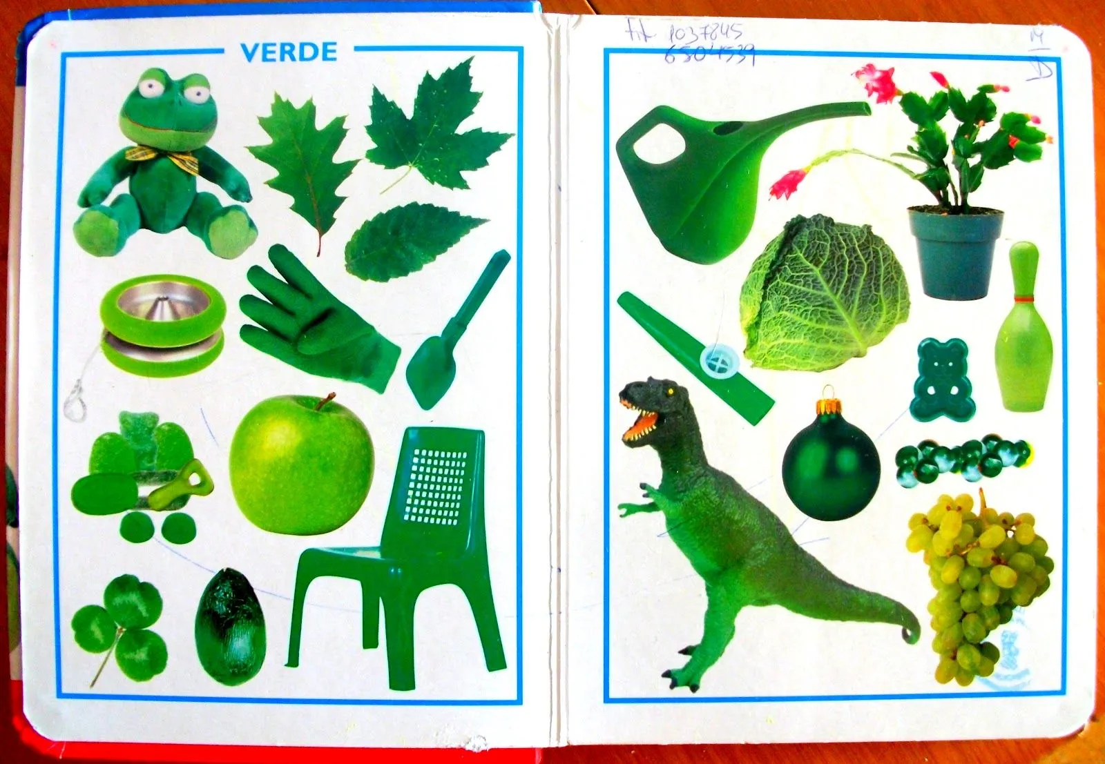 Mi particular diario de clase: PLÁSTICA: El color Verde Mi particular diario de clase: PLÁSTICA: El color Verde