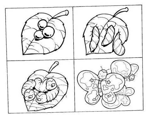 Dibujo de metamorfosis - Imagui