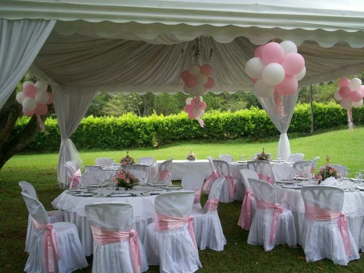 Party Fiestas - Decoraciones con globos