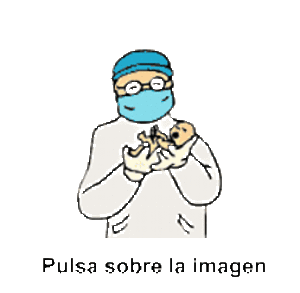 Pasados nueve meses de embarazo el feto está completamente formado y ...