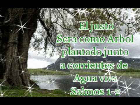 Pasajes De La Biblia - YouTube