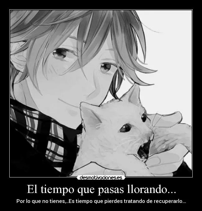El tiempo que pasas llorando... | Desmotivaciones