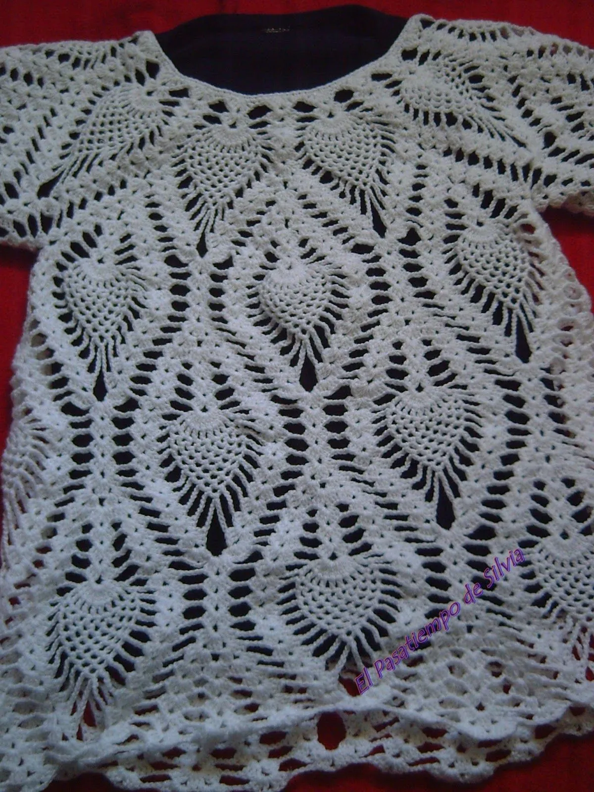 EL PASATIEMPO DE SILVIA: Otra Blusa