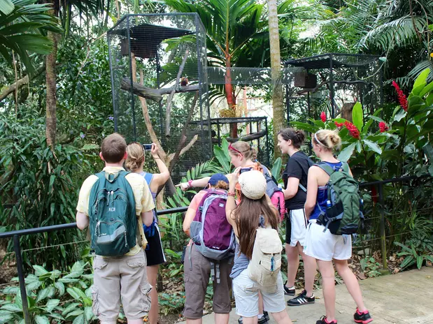 Un paseo por el Parque Zoológico Nacional de Costa Rica - Terra ... Un paseo por el Parque Zoológico Nacional de Costa Rica - Terra ...