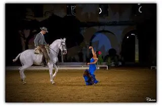 Pasión y Duende del caballo Andaluz.