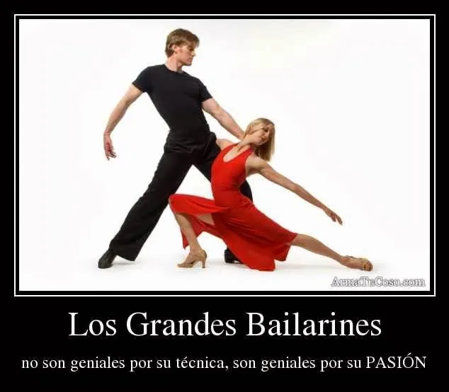 Mi Verdadera Pasión : Frases De Bailarines