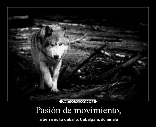 Pasión de movimiento, | Desmotivaciones