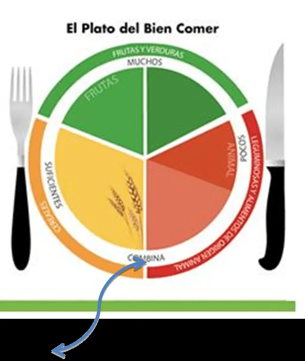 El plato del buen comer para niños de preescolar - Imagui