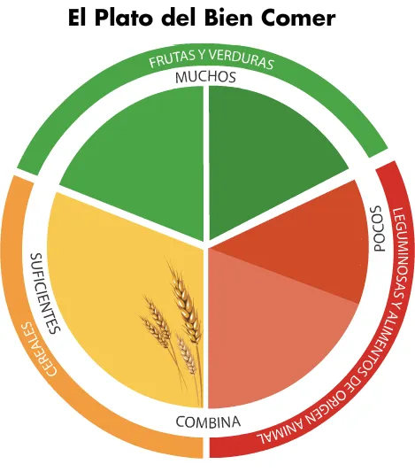 Pasitos al aprendizaje: UNIDAD DIDÁCTICA Alimentación saludable