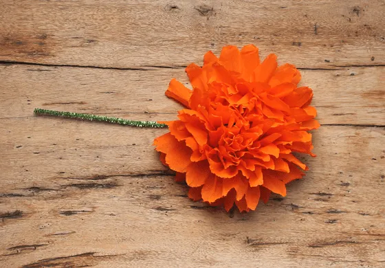 Pasos para hacer flores de papel crepe - Imagui
